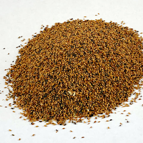 garden cress seeds in english Feto | ፌጦ - Garden Cress/Seed