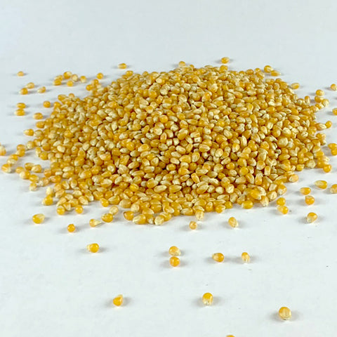 Fendisha | ፈንዲሻ (ፈኪ በቆሎ) - Popcorn Seed