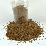 Telba | ተልባ - Flaxseed (Seed)